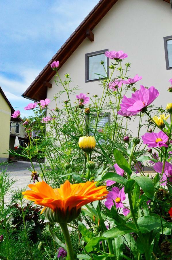 Haus Rosy Ferienwohnung Stubenberg Dış mekan fotoğraf